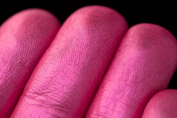 Тени для век Tammy Tanuka "Пребывающая в Сладких Грезах" - локация Цветущие Земли, 1 мл