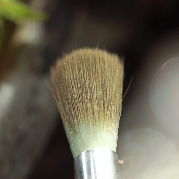 Тени для век Tammy Tanuka "Смущающая Лесорубов" - локация Горная Деревушка, 1 мл Тени для век Tammy Tanuka "Смущающая Лесорубов" - локация Горная Деревушка, 1 мл