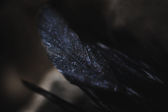 Тени для век Tammy Tanuka "Парящая над Пропастью" - локация Лунные Эльфы, 1 мл