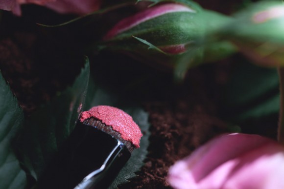 Тени для век Tammy Tanuka "Пленница Розовой Лозы" - локация Цветущие Земли, 0.5 мл