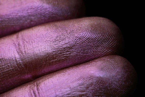 Тени для век Tammy Tanuka "Ботаник Ведьминской Оранжереи" - локация Чудолесье, 1 мл