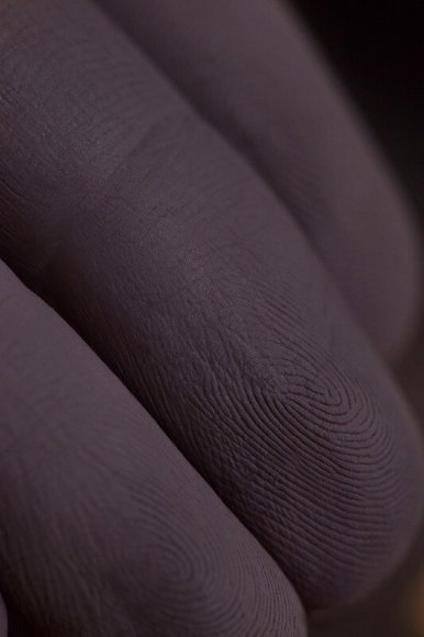 Тени для век Tammy Tanuka "Ревизор" - локация Обитатели Ржавых Пустошей, 1 мл