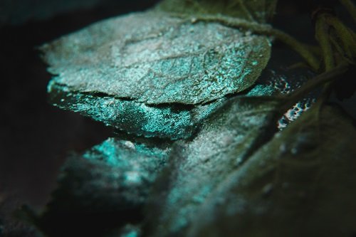 Тени для век Tammy Tanuka "Эликсир Снежной Мяты" - коллекция Алхимия, 1 мл Тени для век Tammy Tanuka "Эликсир Снежной Мяты" - коллекция Алхимия, 1 мл