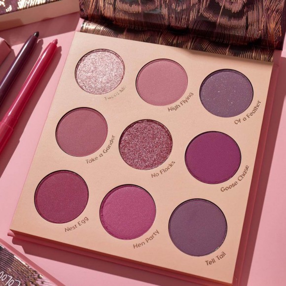 Палетка теней ColourPop - Fine Feathered