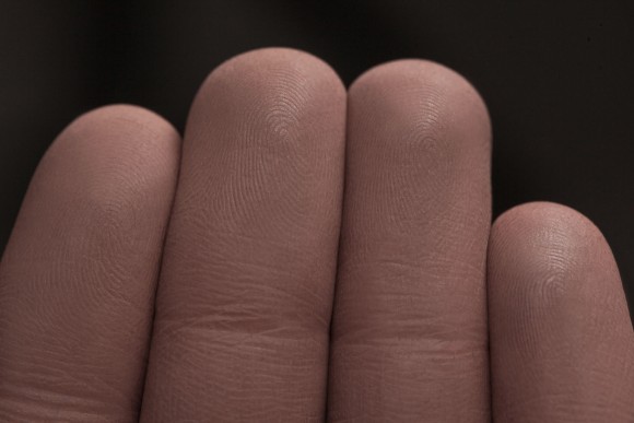 Тени для век Tammy Tanuka "Оруженосец" - локация Обитатели Ржавых Пустошей, 1 мл