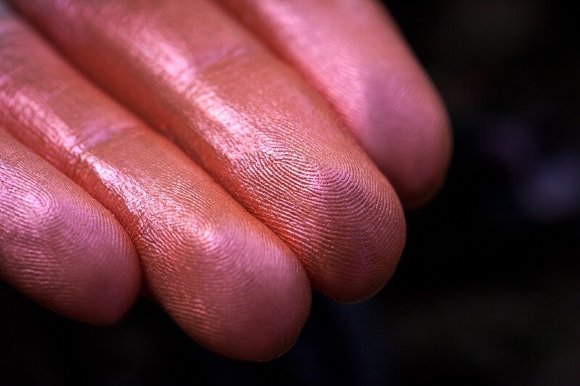 Тени для век Tammy Tanuka "Опасная Детка" - серия Духи, 1 мл Тени для век Tammy Tanuka "Опасная Детка" - серия Духи, 1 мл