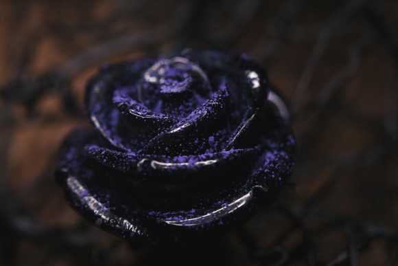 Тени для век Tammy Tanuka "Инкогнито" - локация Темный Замок, 1 мл