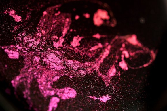 Тени для век Tammy Tanuka ХРОМАТИК: Наслаждение, 0.5 мл