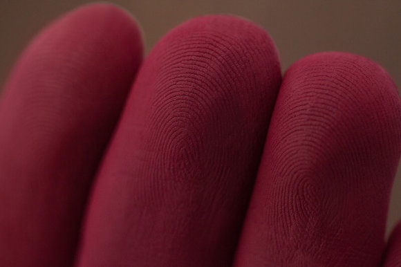 Тени для век Tammy Tanuka "Шальная Императрица" - локация Темный Замок, 1 мл