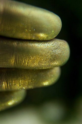 Тени для век Tammy Tanuka "Крадущаяся за Болотными Огнями" - коллекция Укротители гор, 1 мл