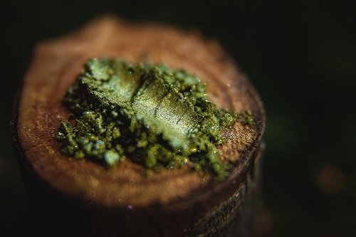 Тени для век Tammy Tanuka "Крадущаяся за Болотными Огнями" - коллекция Укротители гор, 1 мл