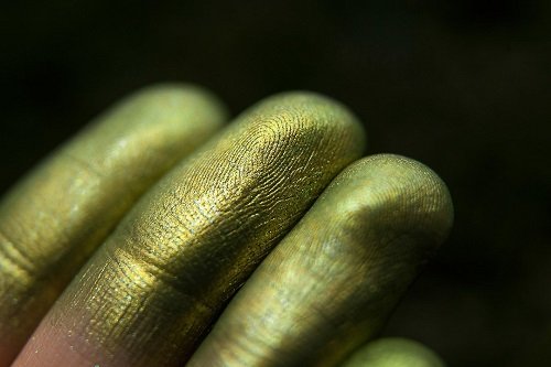 Тени для век Tammy Tanuka "Крадущаяся за Болотными Огнями" - коллекция Укротители гор, 1 мл