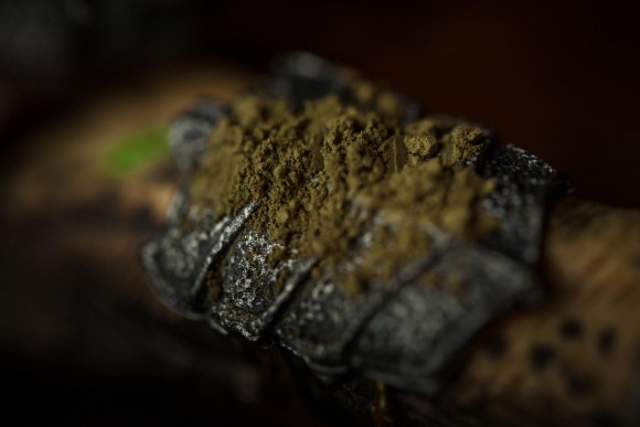 Тени для век Tammy Tanuka "Воевода" - локация Ржавые Пустоши, 1 мл